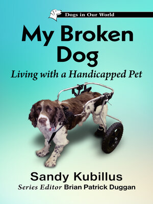cover image of My Broken Dog